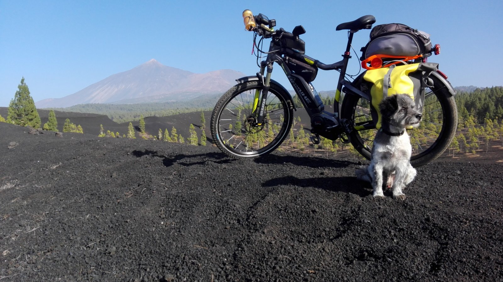 1_emtb Lapas arenas negras.jpg