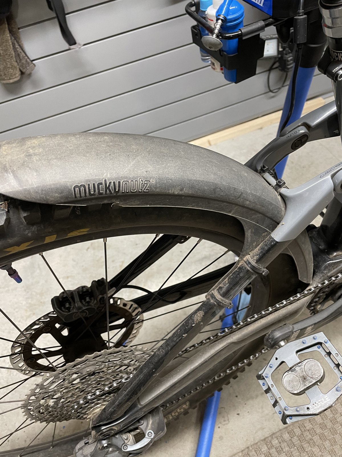 Whale store tail mudguard