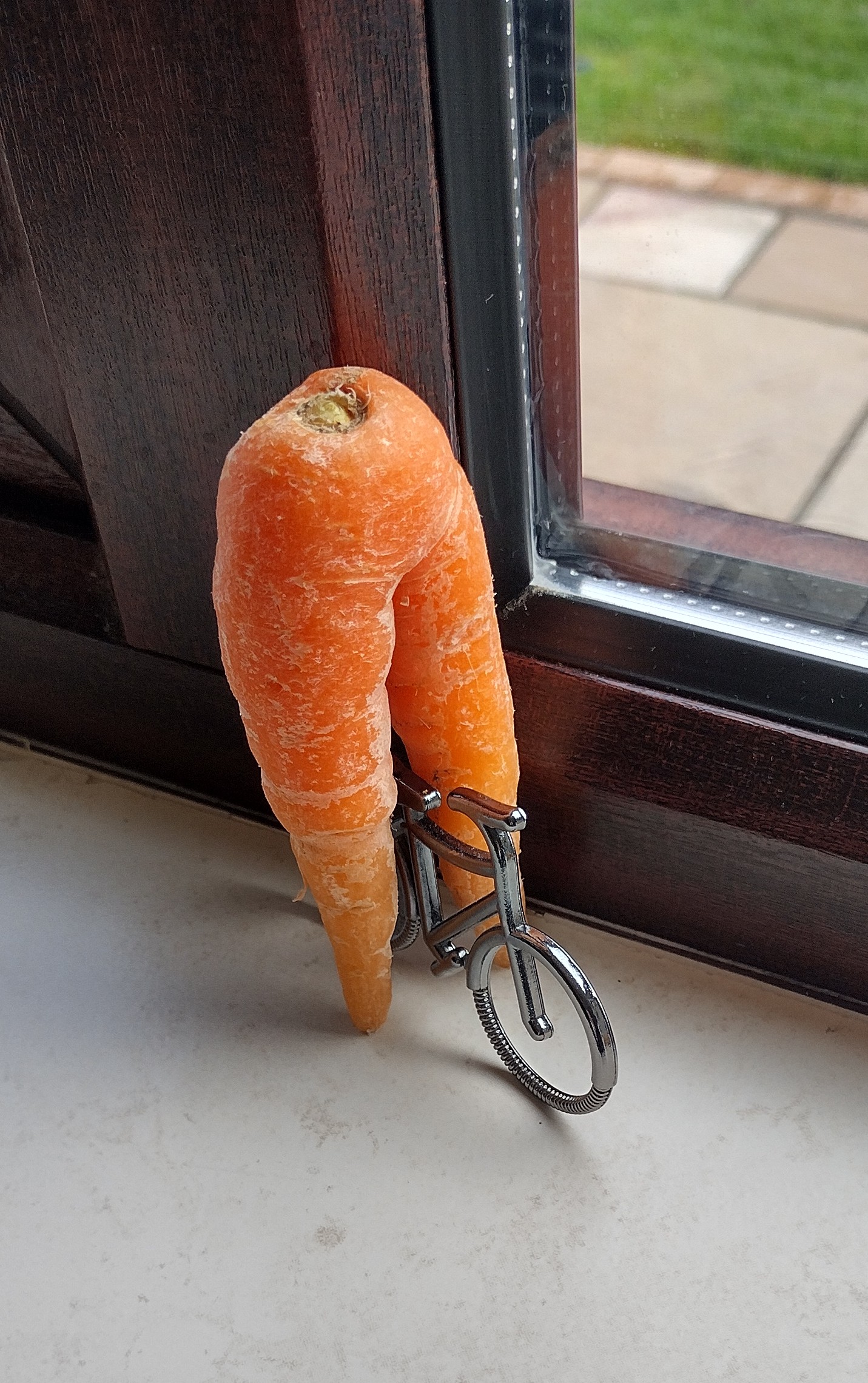 Carrot biker.jpg