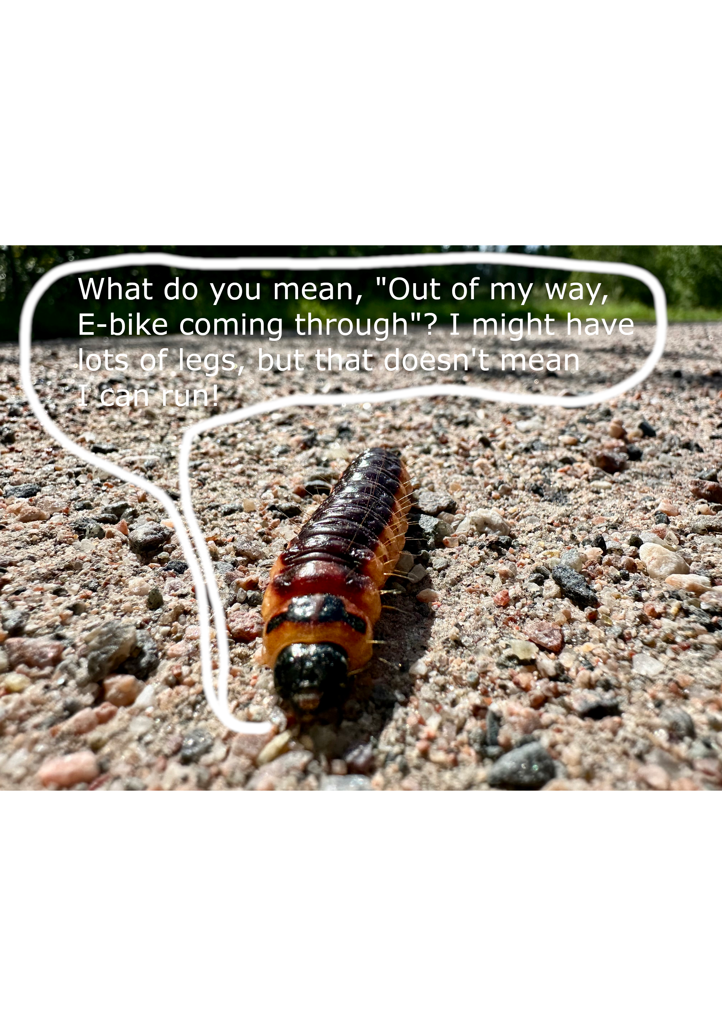 Catapillar.png