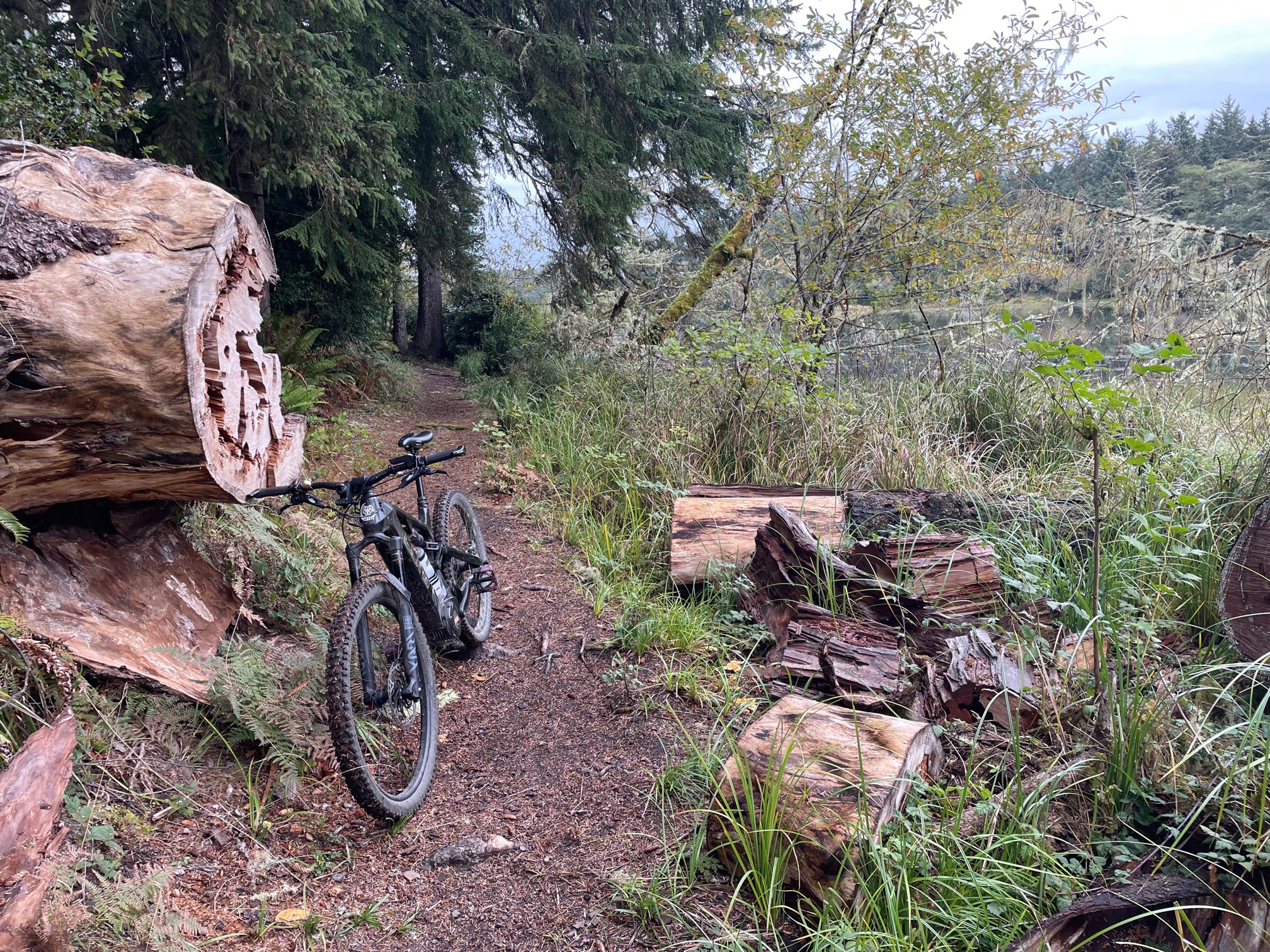 Coffenbury Lake Trail.jpg