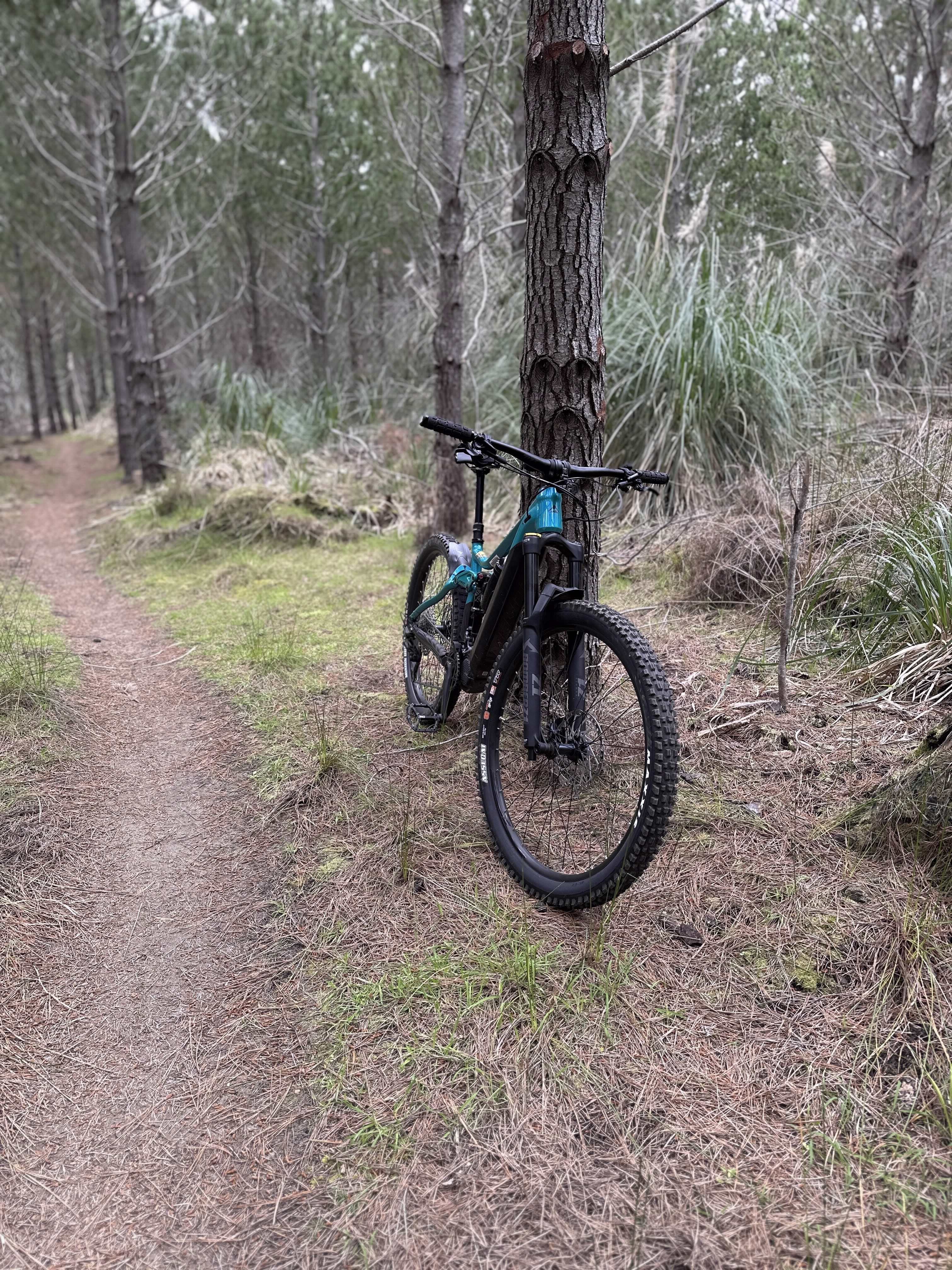 eBike at Woodhill.jpg