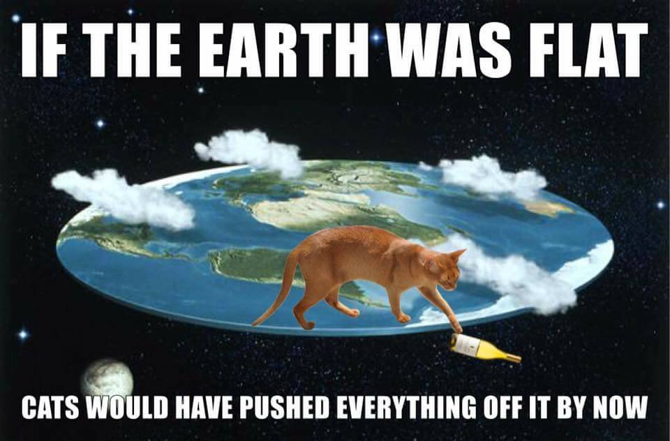 flat earth cats.jpg