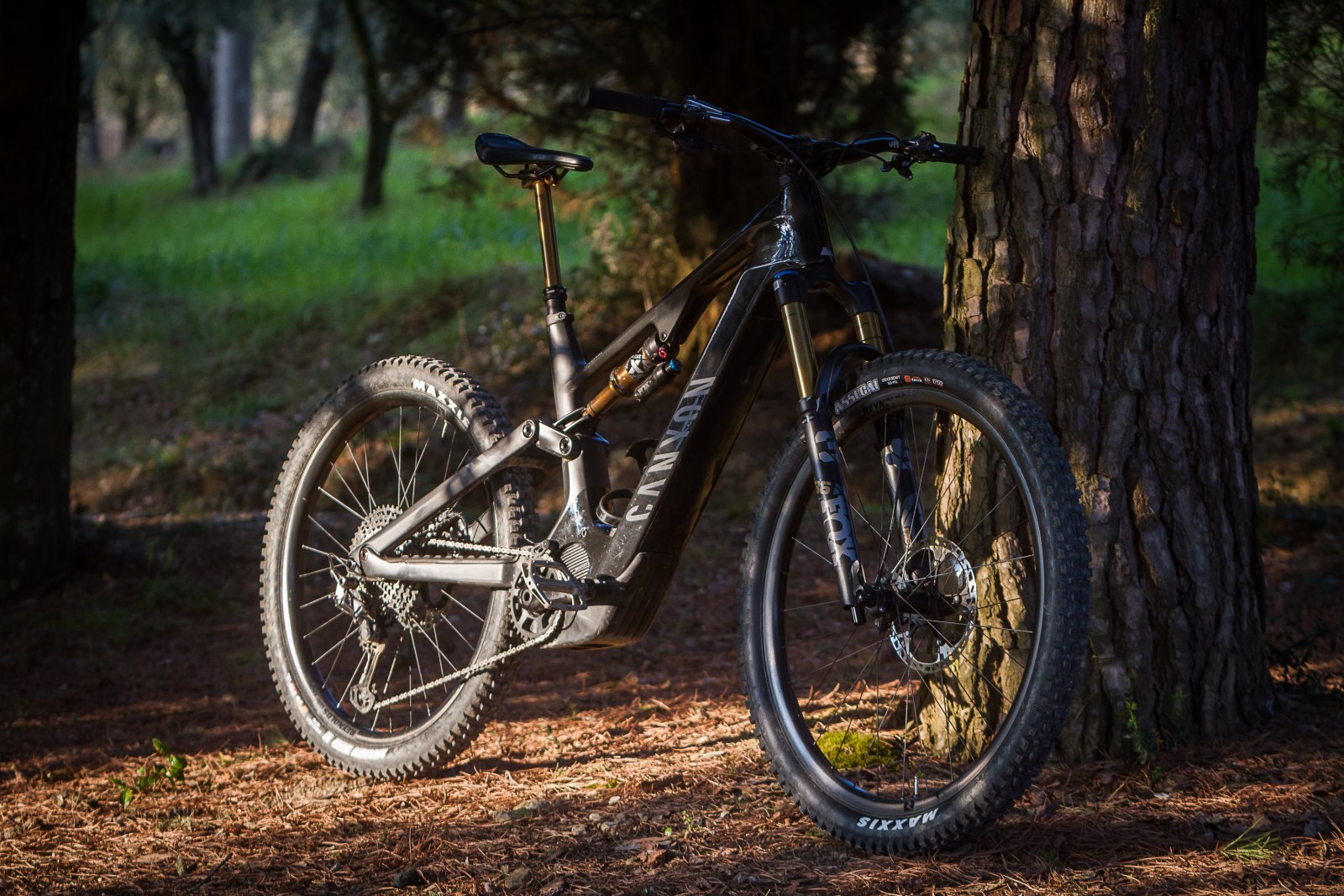 Review - New Canyon Spectral : ON CFR - 900 wh of PWR! | EMTB Forums