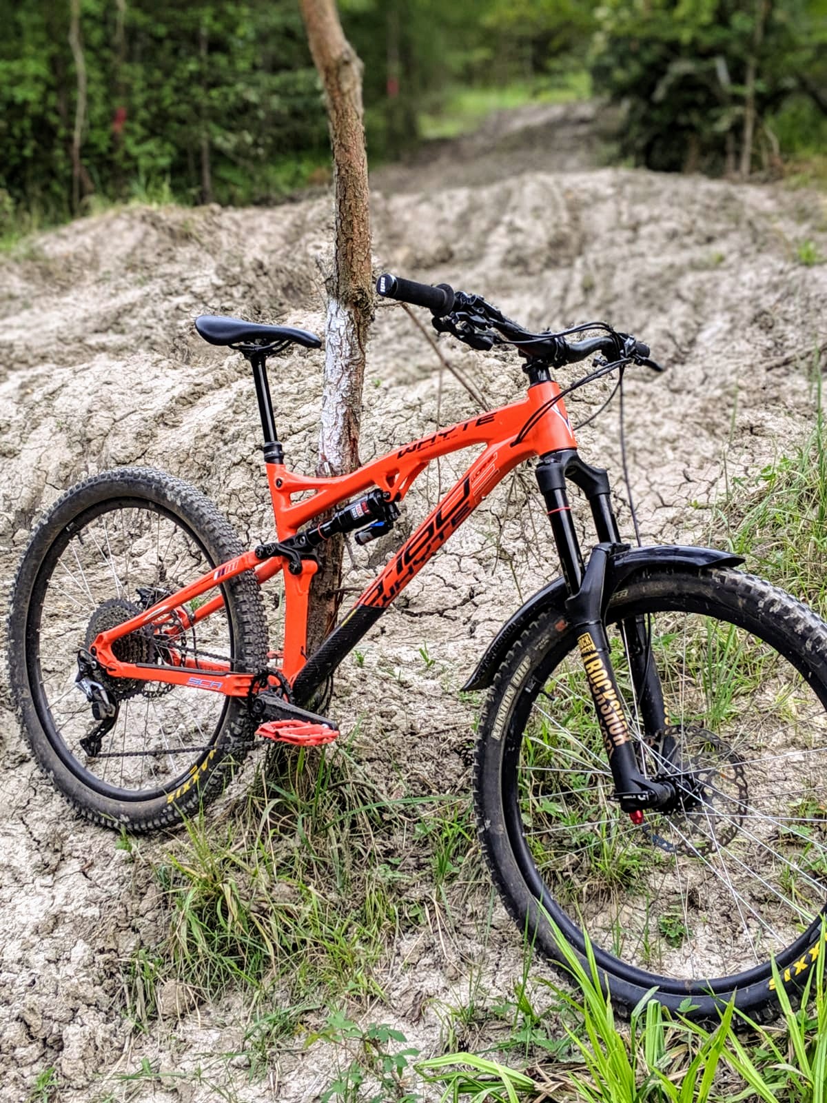 g160 whyte