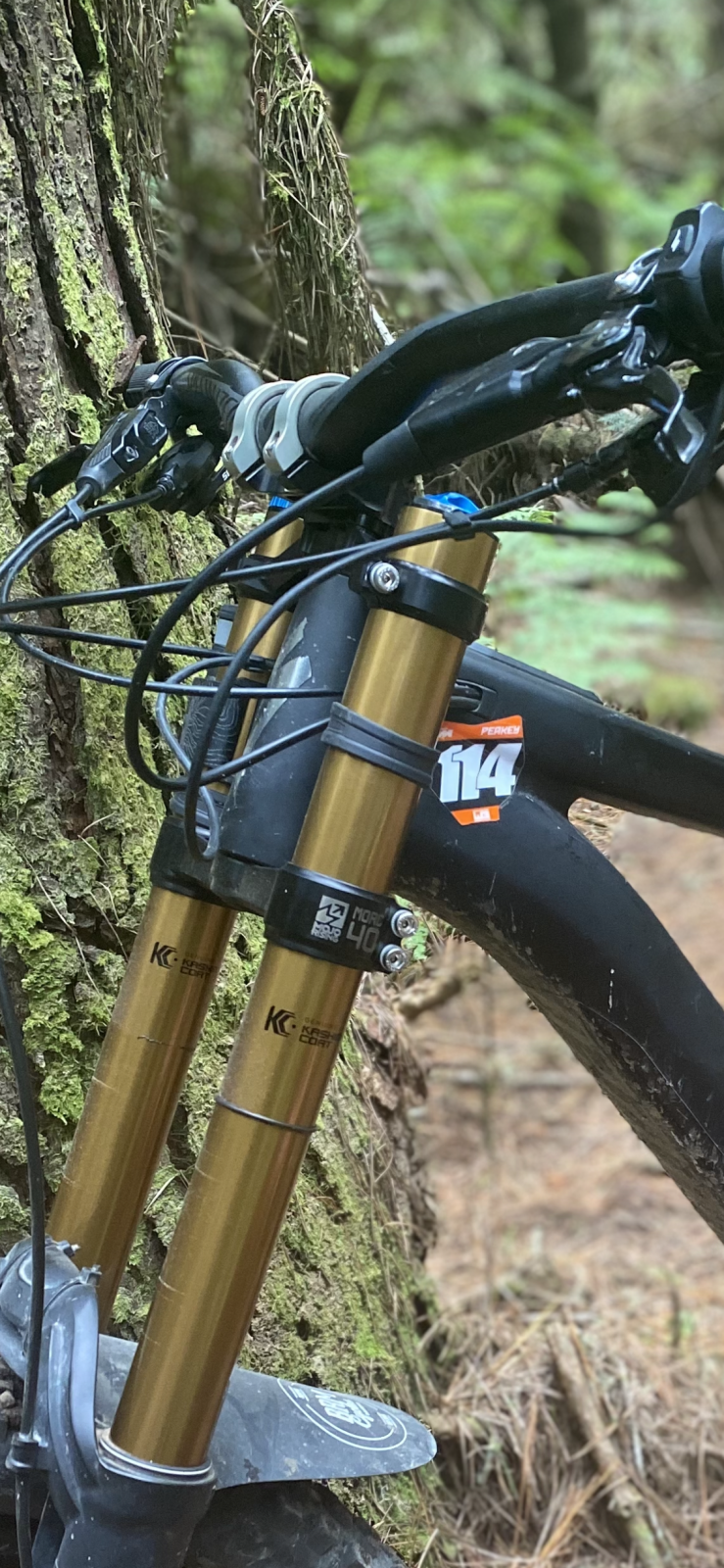 Mojo best sale rising mtb