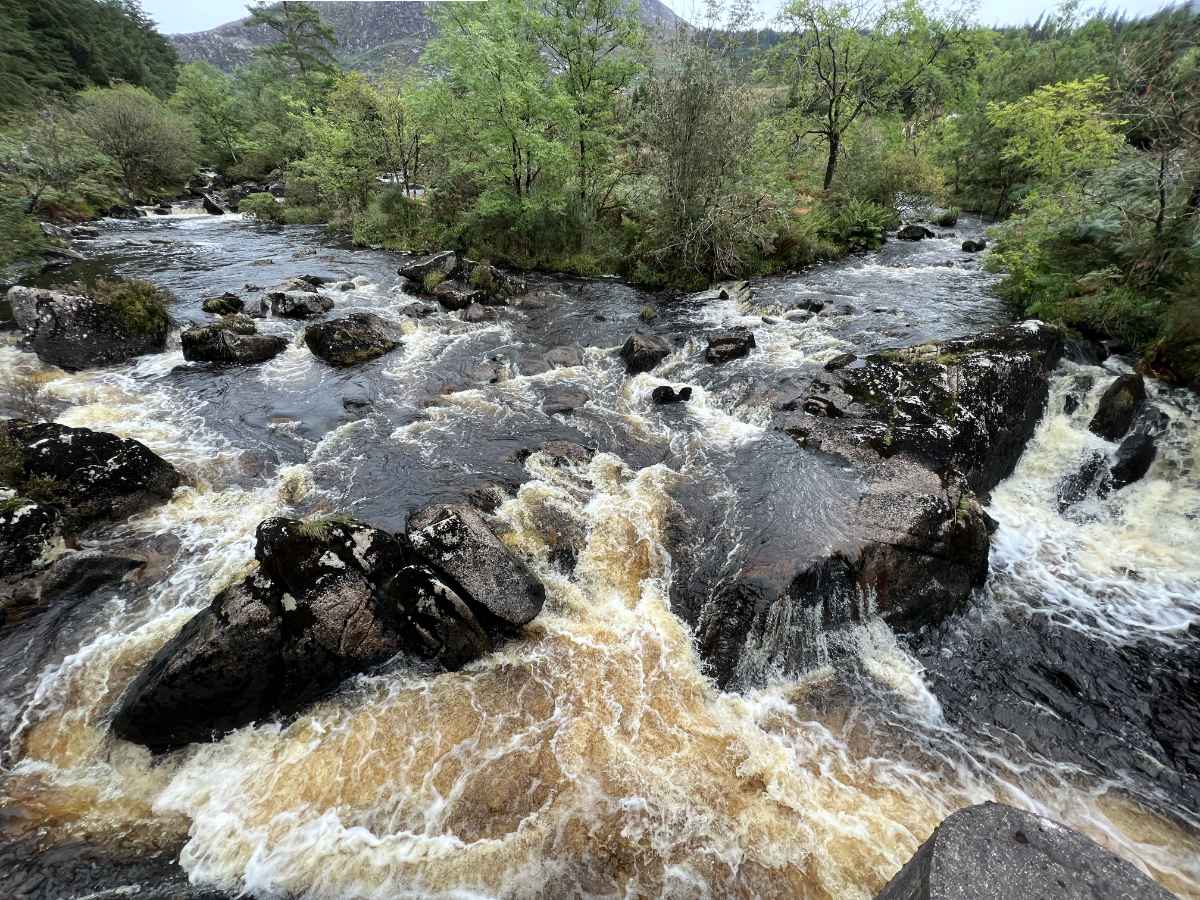 Kirroughtree Black River 01.jpg