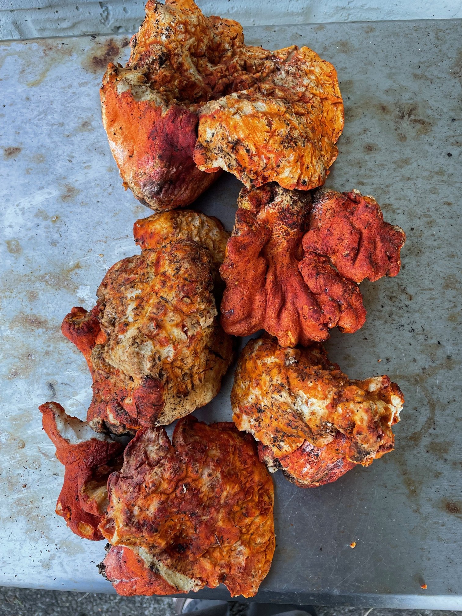 Lobster Mushrooms.jpg