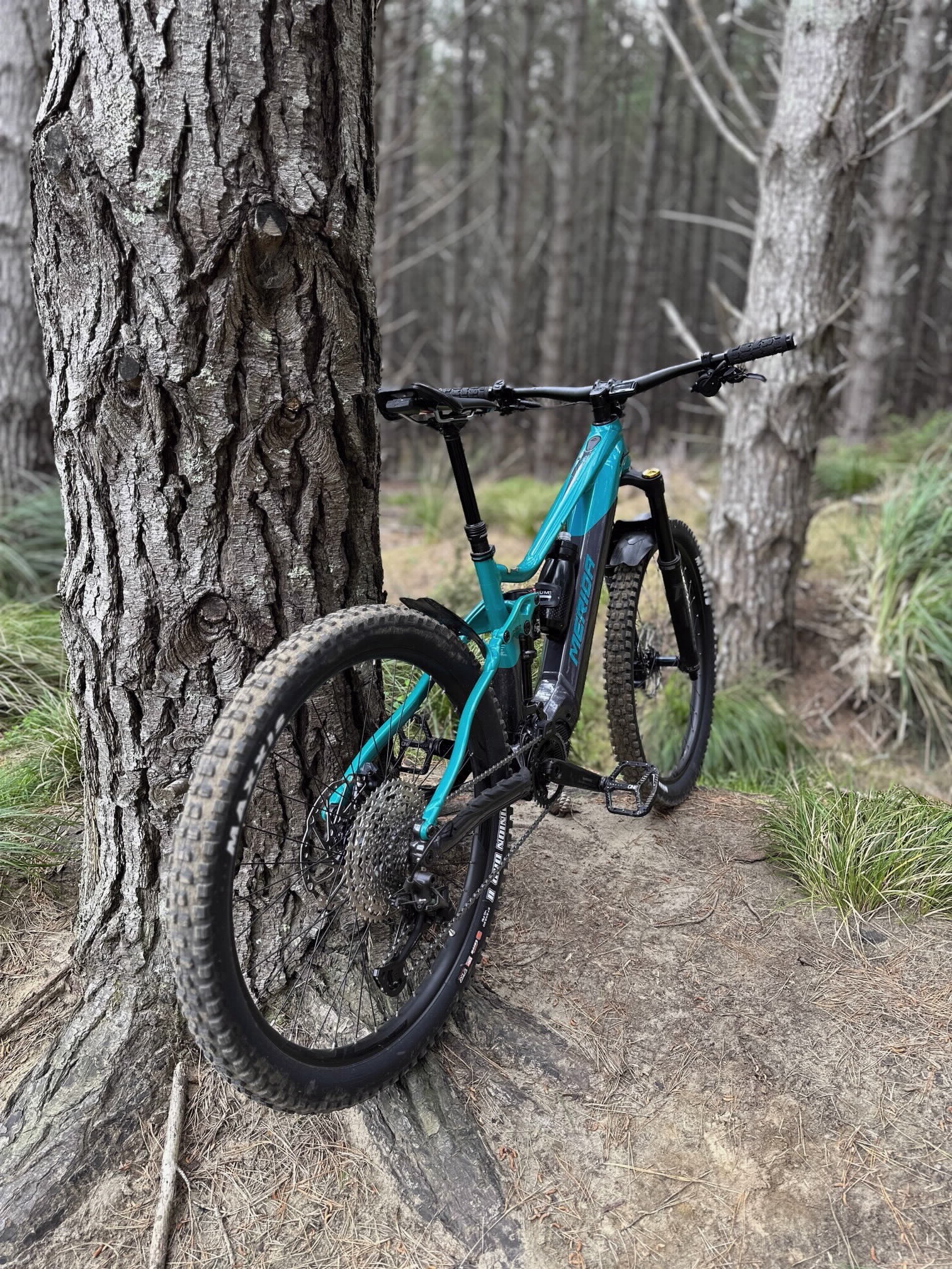 New eBike at Woodhill.jpg