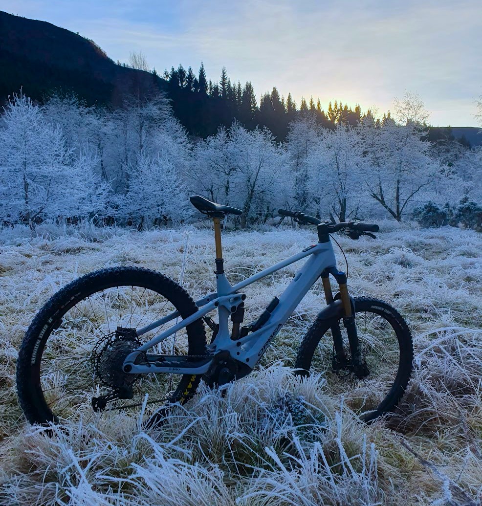 Orbea Wild Winter.jpg