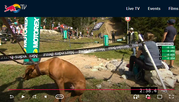 redbull tv xco 2020