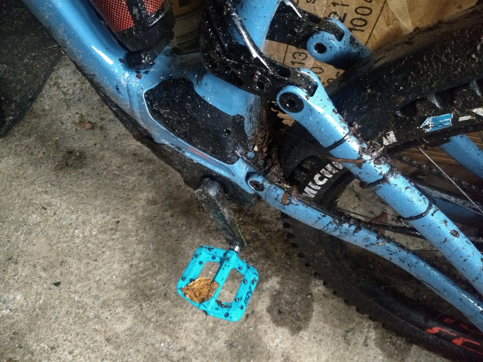 wet pedals.jpg