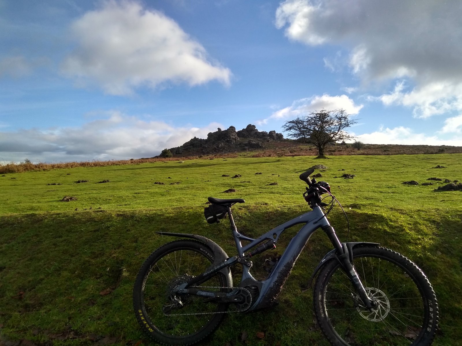 Whyte at Hound Tor Dec20.jpg