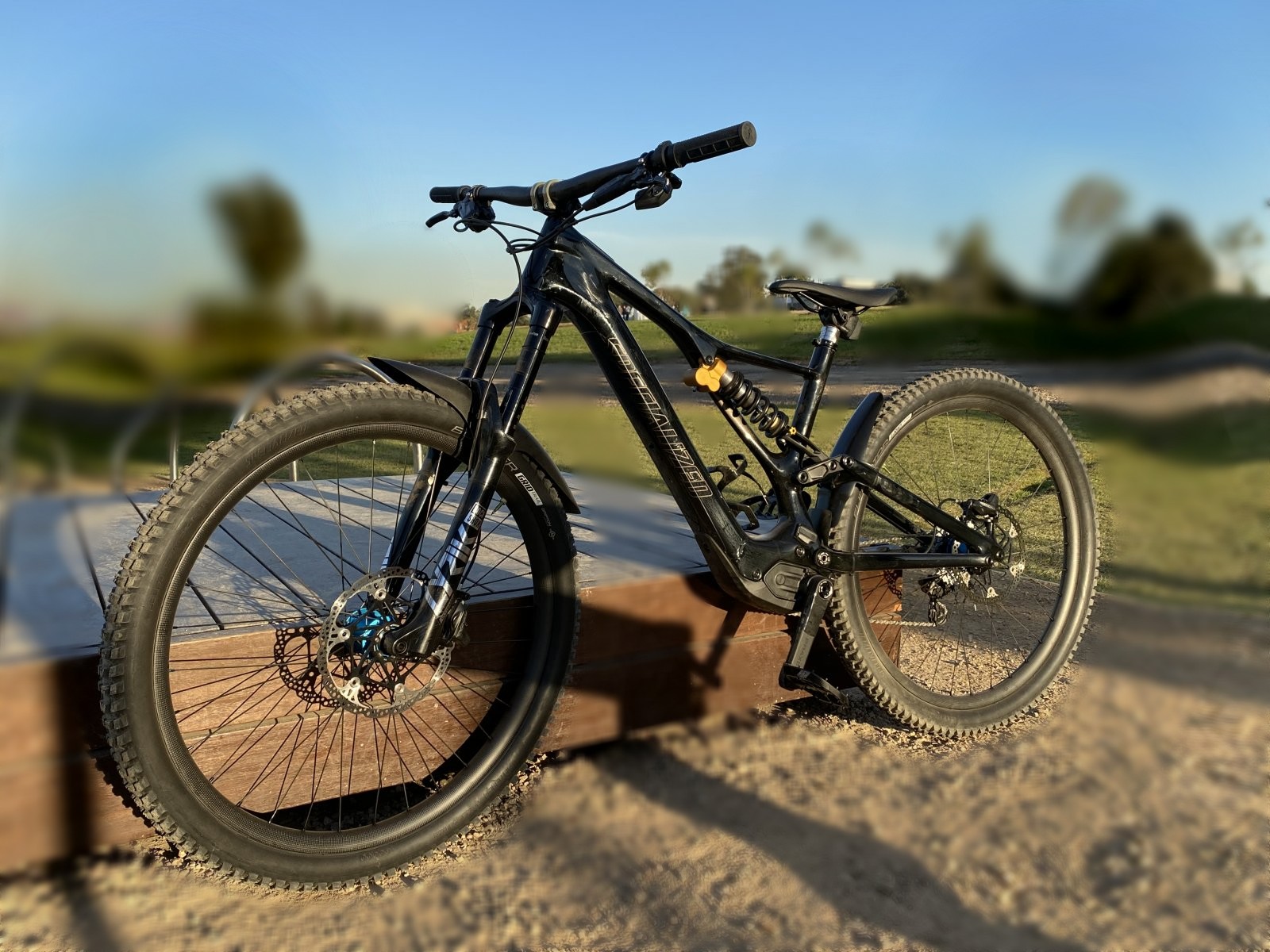 Levo SL Custom Builds - EMTB Forums