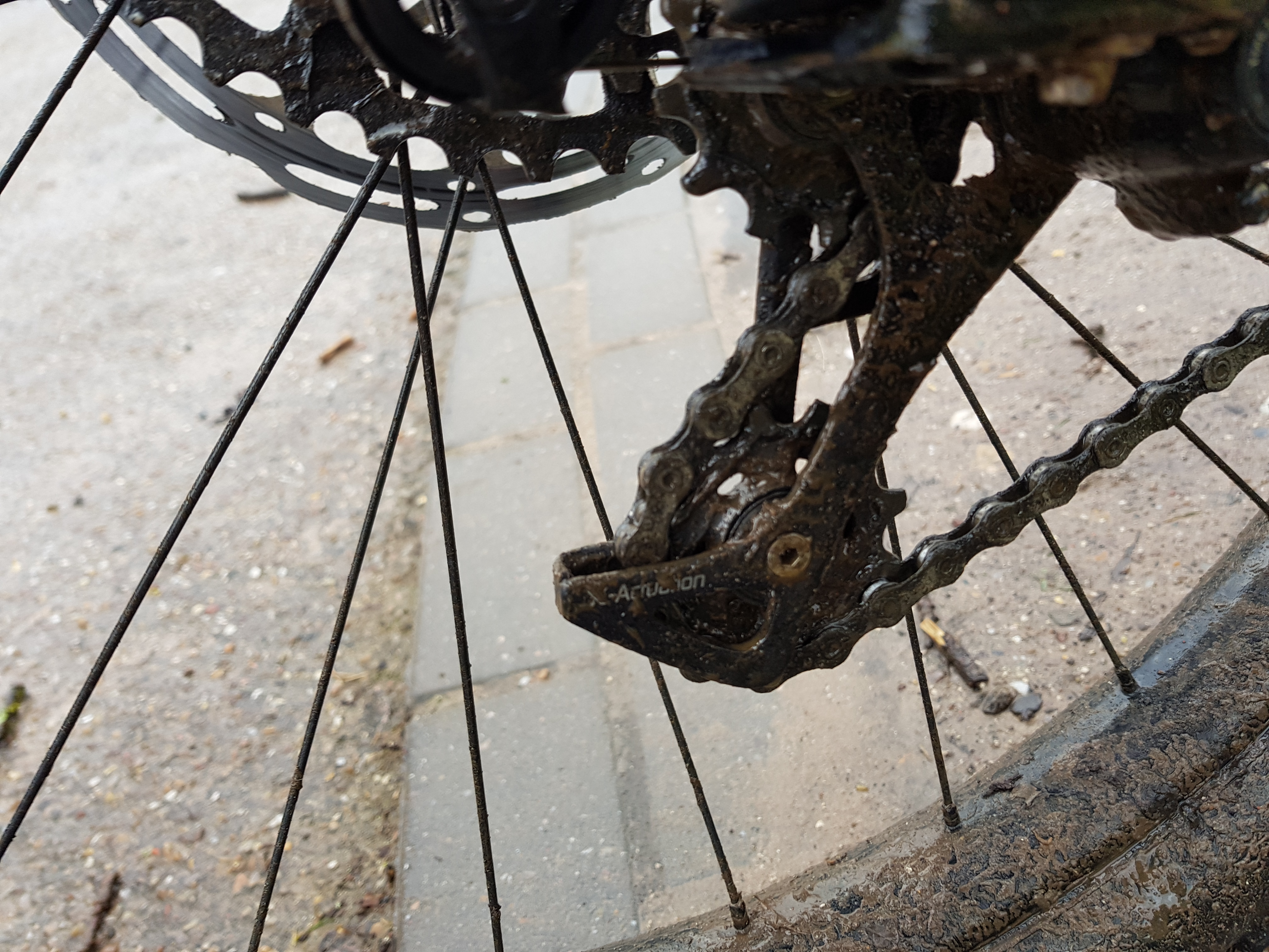 chain mudguard