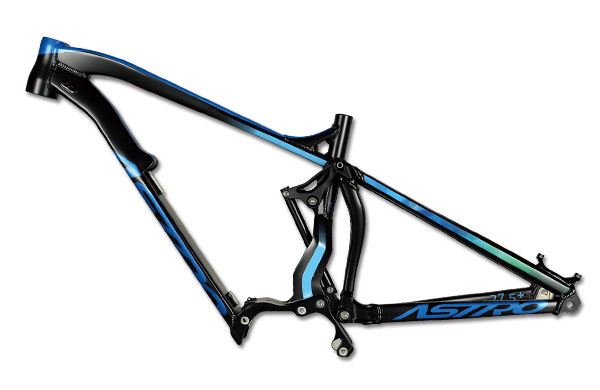 wilier e803 enduro