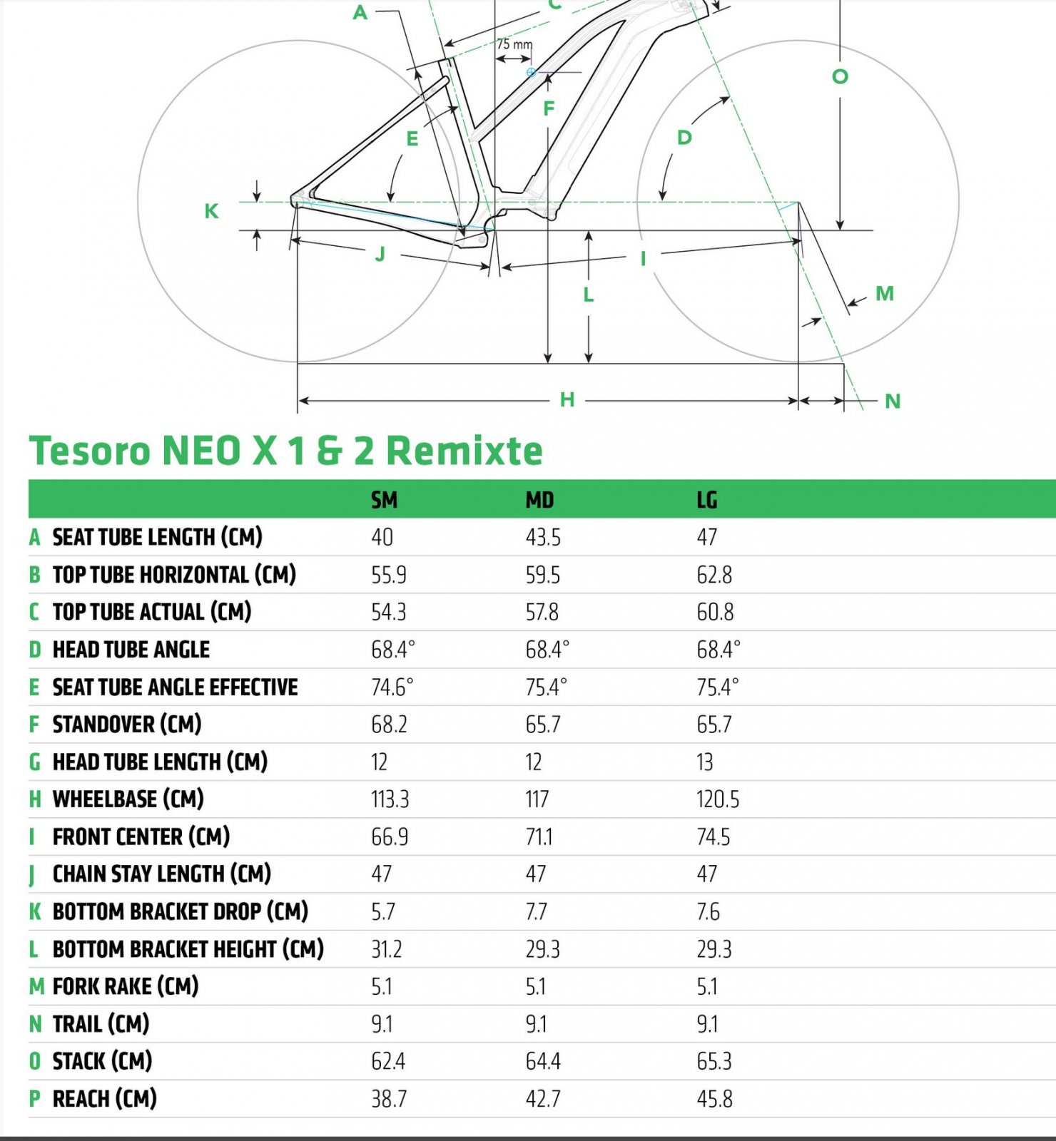 cannondale tesoro neo x2 2021