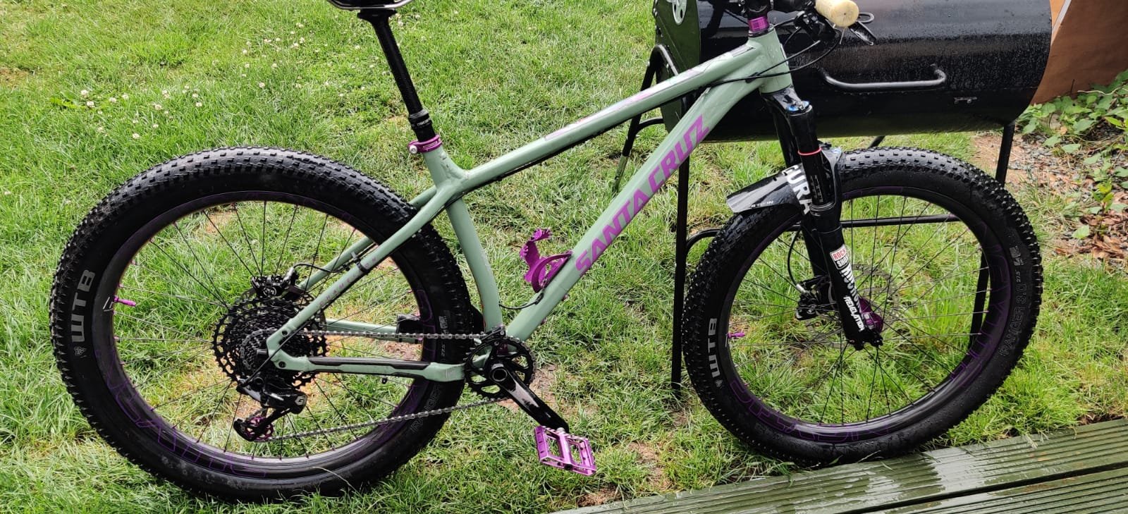 Santa cruz cheap chameleon for sale