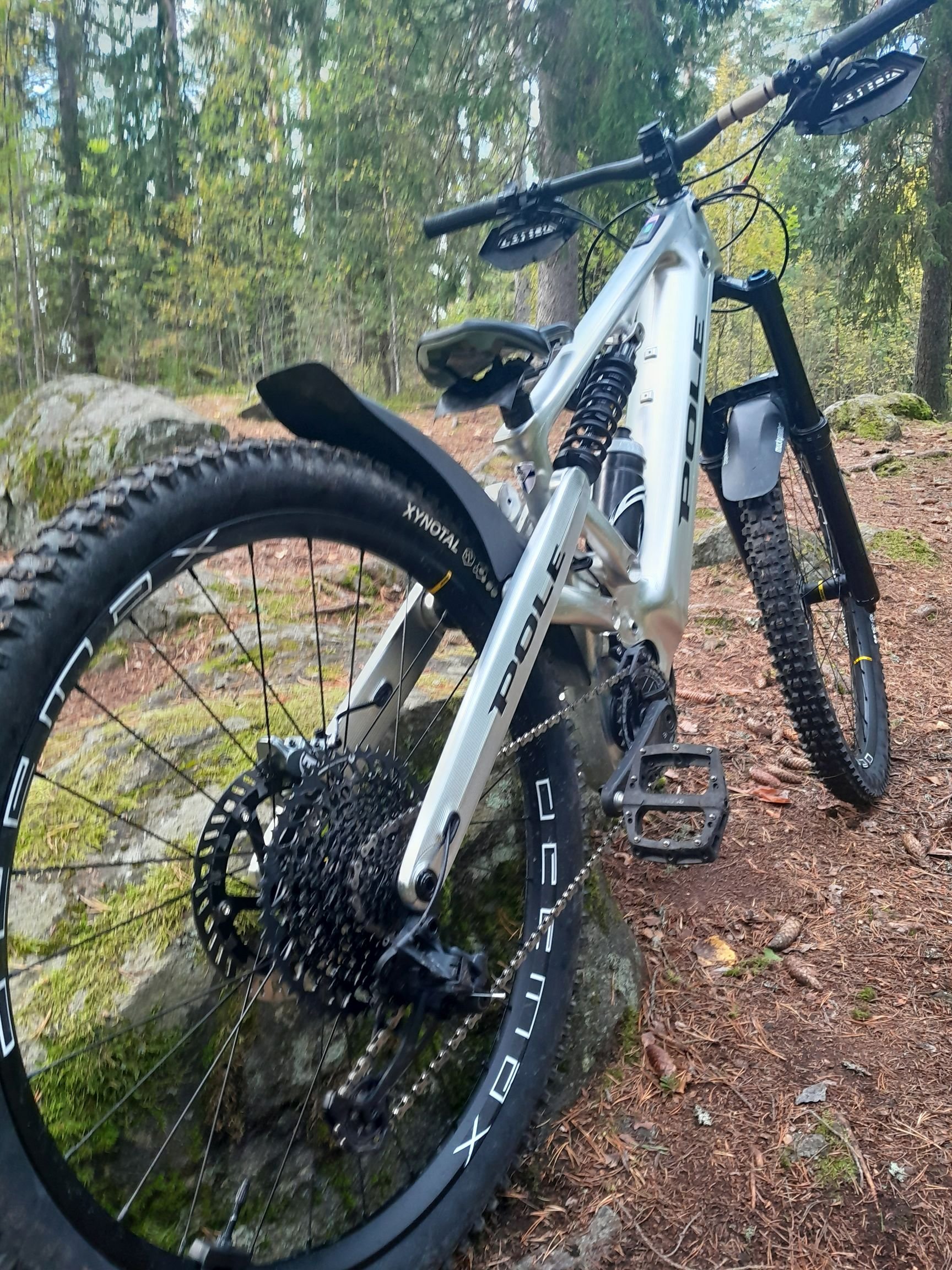 Pole deals dh bike