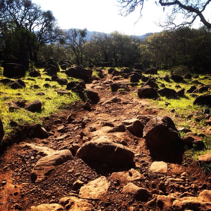 Rough-go trail at Annadel State Park.jpeg