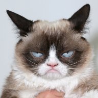 GrumpyKat