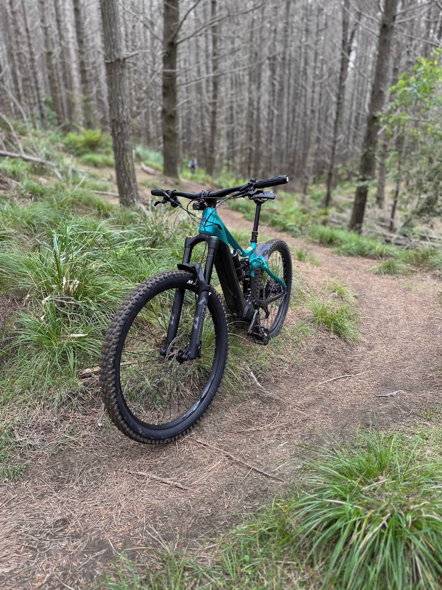 New eBike at Woodhill 2.jpg