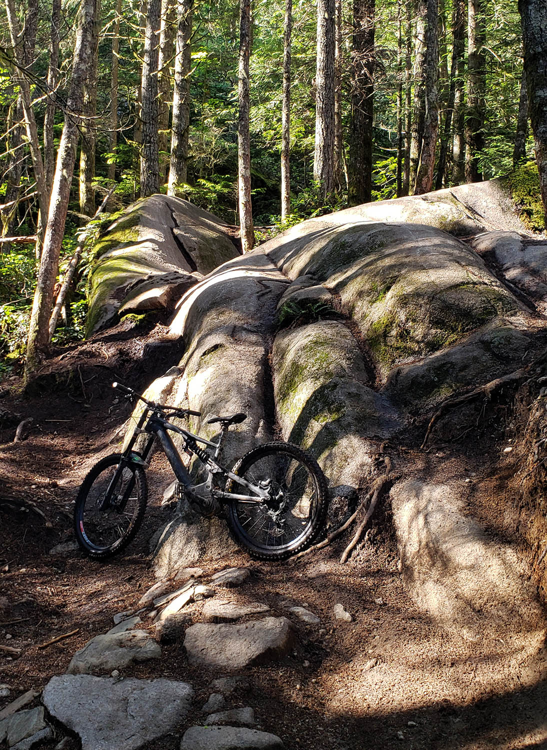 Whale Tail - Entrails Squamish.jpg